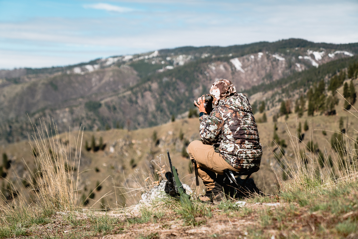Spring Bear Why You Need to Consider Spot and Stalk Hunting